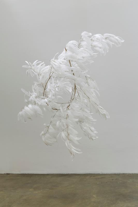 lafilleblanc:
“Gabriel Orozco
Roiseau 11, 2012
bamboo and birdfeathers
”