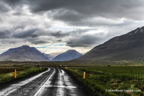 Shiny roadA rainy day offers completely new views on an impressive landscape. Iceland©islandfeu