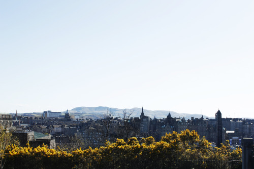 villierscy:edinburgh, april 2015