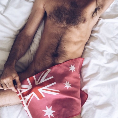 tzaris:• Wishing Sydney a safe & happy Mardi Gras • 🌈🎉🐨🎉🌈 by scottinno http://ift.tt/1A6faDj