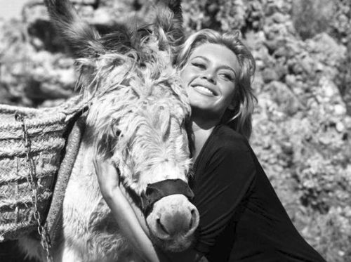 Brigitte Bardot with various animals.