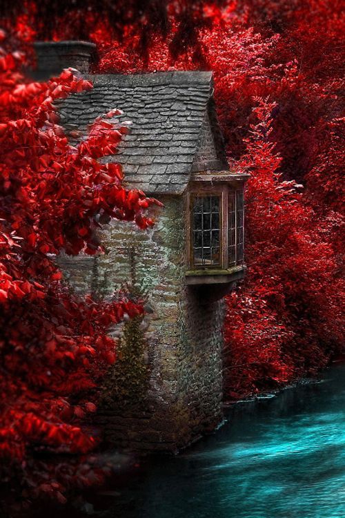 our-amazing-world:  beautiful amazing
