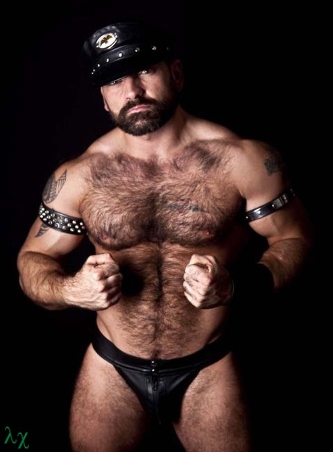 Gay bear leather chaps