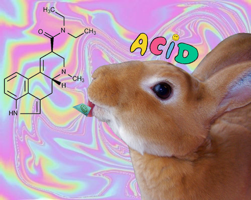 psychedelic-psychiatrist:  LSD