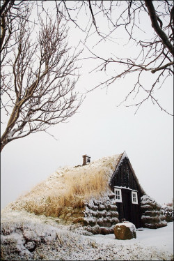 bathorynordland:  Timeless by olgeir on Flickr.