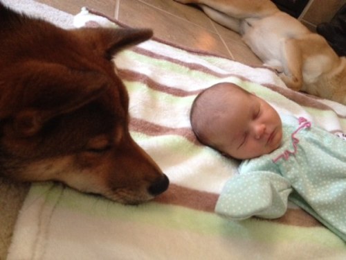 loffeecom - This Newborn Baby Girl Has Already Made A Friend...