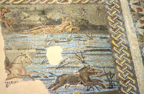 Archaeological Museum of PatraMosaic floor with a hunting scene and geometric decoration.From a room