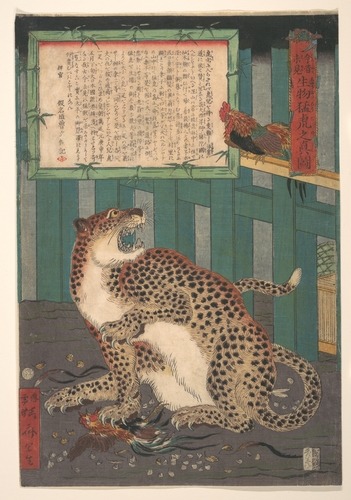 met-asian: 「今昔未見　生物猛虎之真図」|Never Seen Before: True Picture of a Live Wild Tiger (Konjaku miken, Ikimo