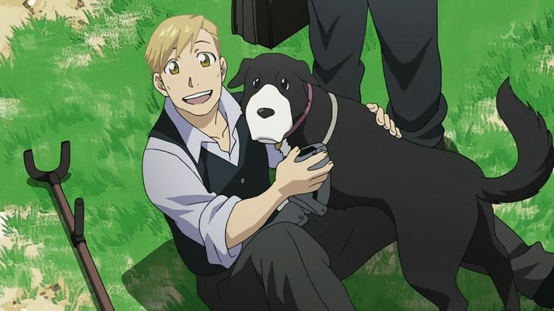 Anime Dog of the Day on X: Today's anime dog of the day is: Den from  Fullmetal Alchemist: Brotherhood (2009)  / X