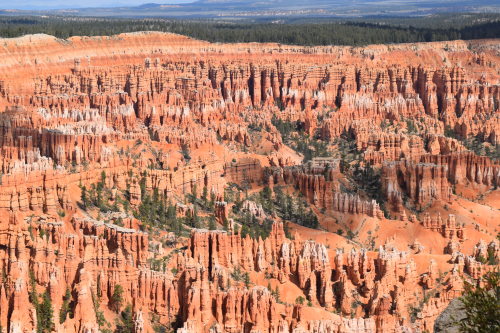 dragonbunni:Last year I took an amazing road trip..ZionByrce CanyonCapitol ReefArchesMonument Valley