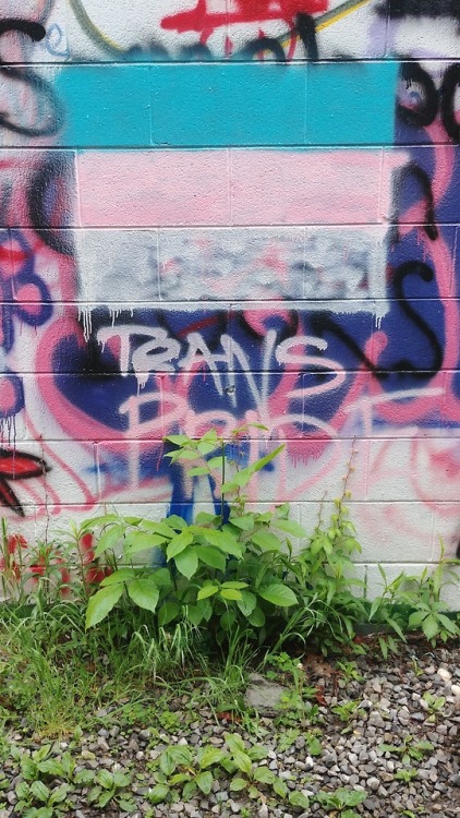 gaypitbull: cosm-ixx: social-piranha: queergraffiti: Trans Pride Blacksburg, Virginia, USA Let&rsquo