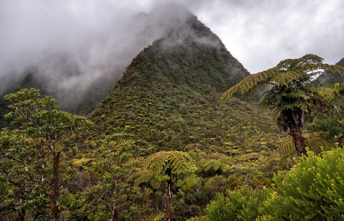 90377:la reunion by vince42