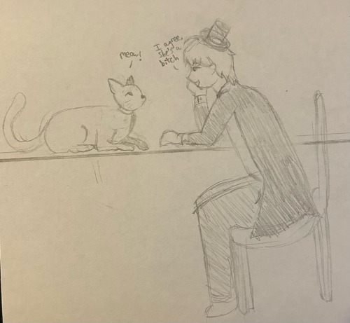 Drew A Stupid Little Gay With His Stupid Little Cat