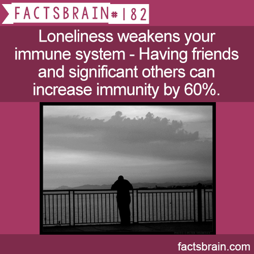 these-times-shall-pass:  click for weird interesting facts on your dash!!