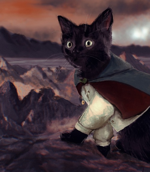 May I Present To You My Cat- Who Of Course Is Named Frodo.