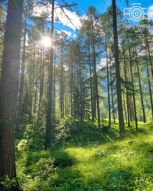 Triglav National Park - Slovenia (by Anna Jewels (@earthpeek)) www.instagram.com/earthp