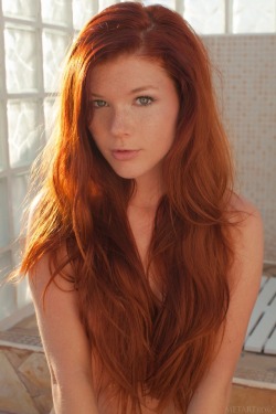 luvmygingergyrl:  Sunkissed long haired ginger