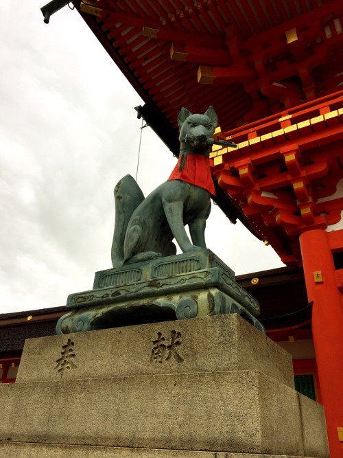 Fushimi Inari Taisha, Kyoto photos by Kobalt