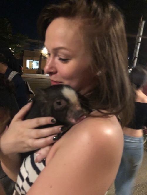 IT’S BAR CLOSE AND i’M HOLDING A BABY PIG