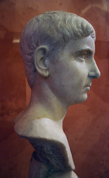 myglyptothek:Portrait of a young man of Julio-Claudian family. I century AD. Marble. State Hermitage