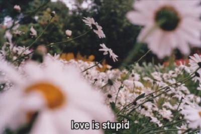 Love Is | via Tumblr en We Heart It. http://weheartit.com/entry/69408894/via/ana_sb