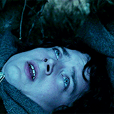  That was probably the hottest wildest sex I’ve ever had with my husband in a loooong ass time. My neck and chest are so bruised haha. It was awesome.  
