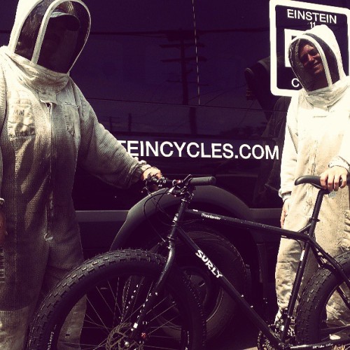 codysovis:  Bees. Space suits. #surly
