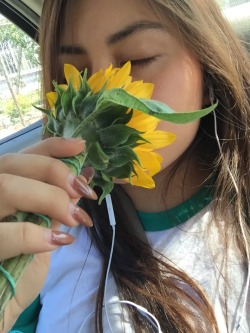 yellowart:  So I’m in love with sunflowers