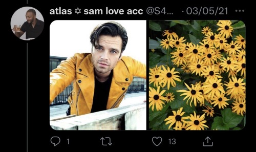 Sebastian Stan As Flowers: An Absolutely Adorable Thread By @S4MWILSON On Twitter