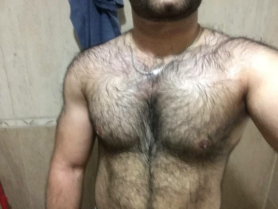 harrybacks:Hairy Shoulders 417