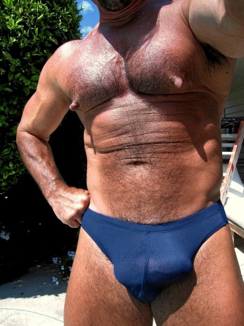 ilovebearsposts:  http://ilovebearsposts.tumblr.com/archive