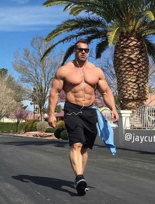 Jay Cutler