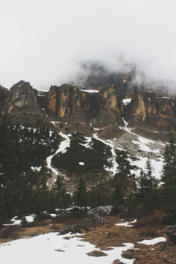 brutalgeneration:  canada6 (by bearschapter) 