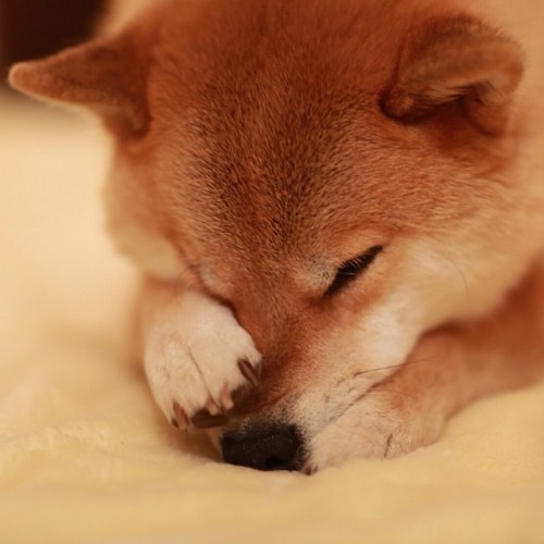 hiddenlex:  Shinjiro Ono