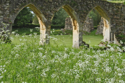 allthingseurope:  Hailes Abbey, UK (by Chris Mullineux) 