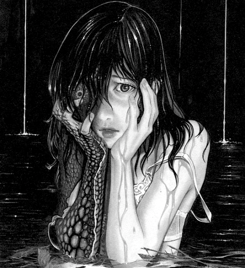  Illustration. 