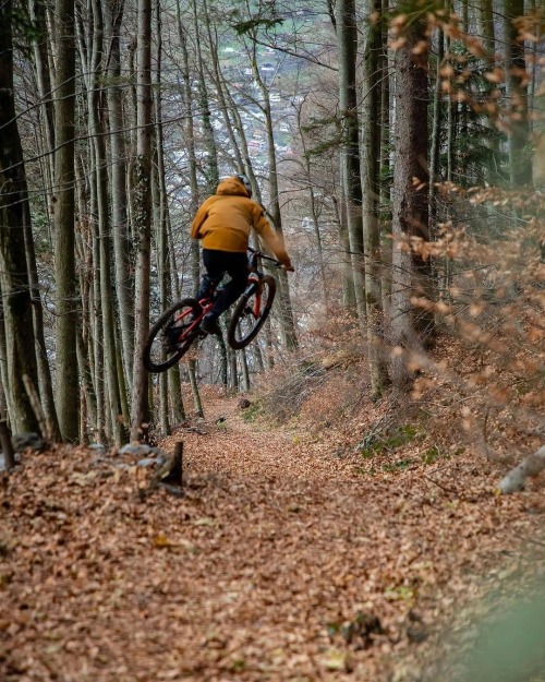 mtbswitzerland:Schneefreie Wälder, Bike raus und ab auf den Trail. #mtbswizterland via ‍♂️@alexmuen