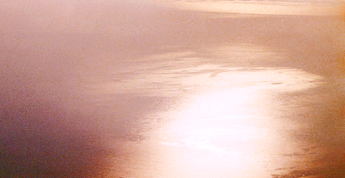 brucebanners:  Maybe we are here to experience people as a reason for love.    Solaris