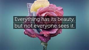 Everything has its beauty, but not everyone sees it.