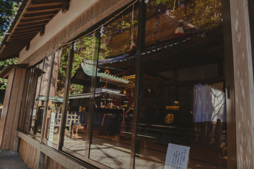 『初詣』sony a6400 + SIGMA 16mm F1.4 DC DN | Contemporary2022.01.05location : 静岡県 Shiuoka, Japan神社、事任八幡宮