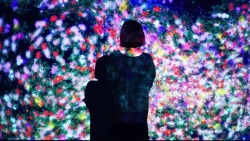 langste:  Flowers And People installation in Japan designed by teamLab 