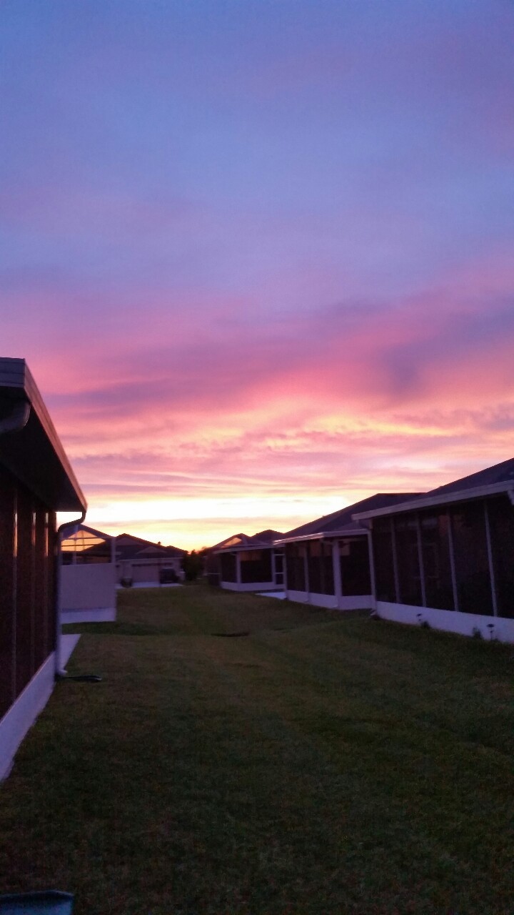 The sunrise was beautiful today. 