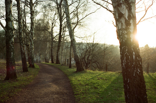 Aachen | Deutschland02/2018Canon T70 & Kodak Portra 400