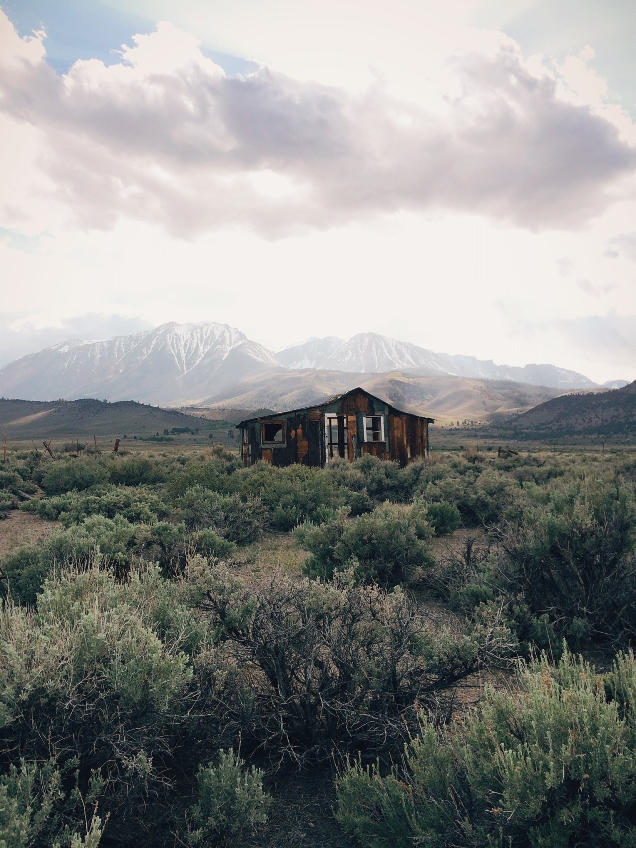 danielodowd:  Gregg Boydston