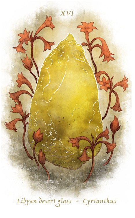 Telluric Tarot (finally getting the Look down!)- Libyan desert glass and Cyrtanthus ventricosusTarot