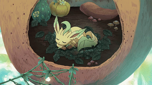 About The Eeveelutions Family