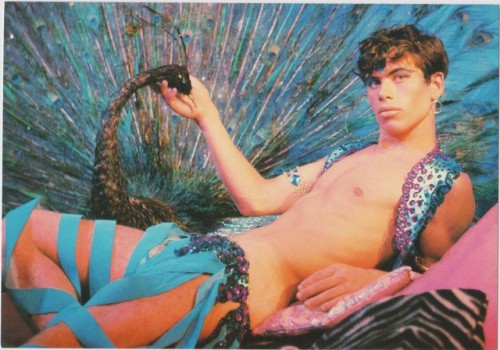 diabeticlesbian:Selected works from gay photographer James Bidgood as featured in his Taschen Postca