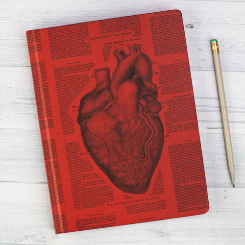 Anatomy, Nursing &amp; Medical inspired gift ideas by Cognitive Surplus.cognitive-surplu