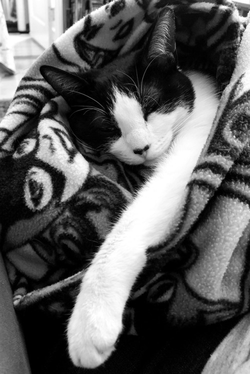 Sound asleep in her SuperGirl blanket. I love her so.