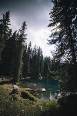 elenamorelli:  { trees and the lake }